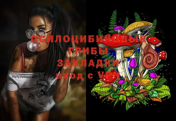 мяу мяу мука Баксан