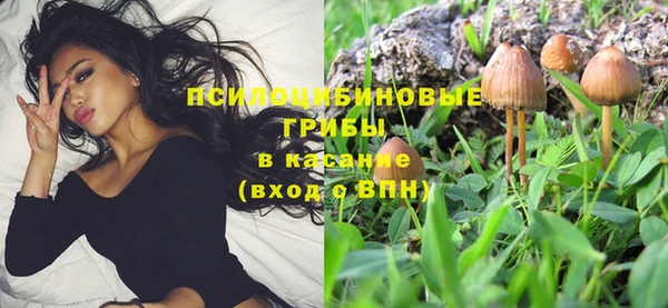 мяу мяу мука Баксан