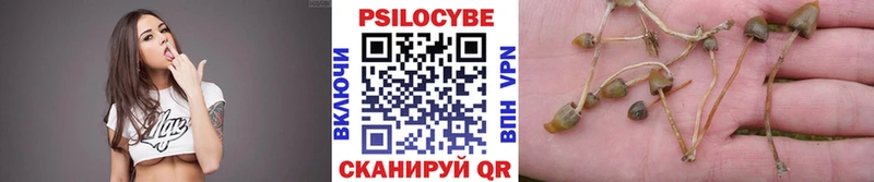 Галлюциногенные грибы Psilocybe  Коммунар 